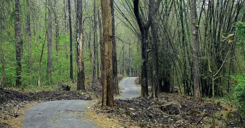 Thenmala Heritage Kollam Exteriör bild